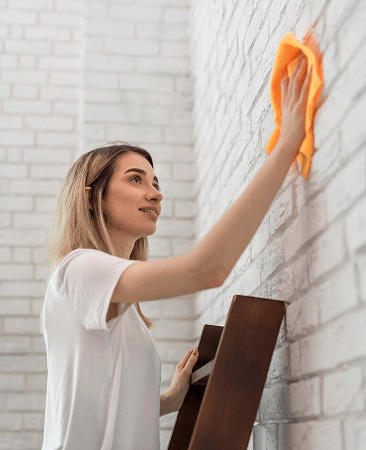 dusting-service